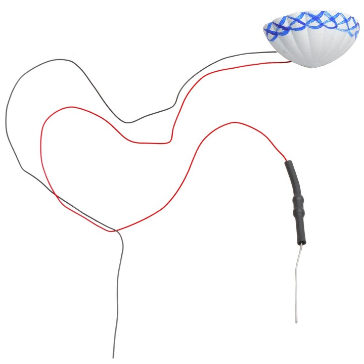 Lampada a conchiglia da parete 2,5 cm 12v