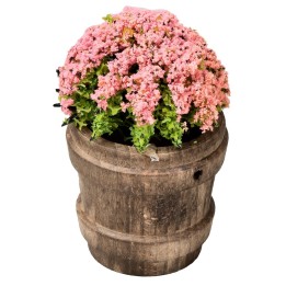 Maceta de madera con flores surtidas h 6,7 cm