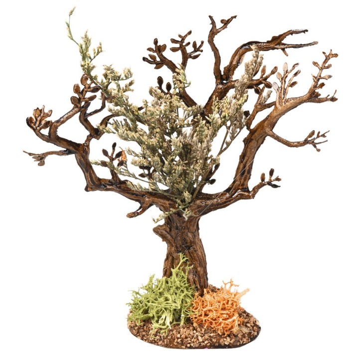Albero d’ulivo h 13 cm