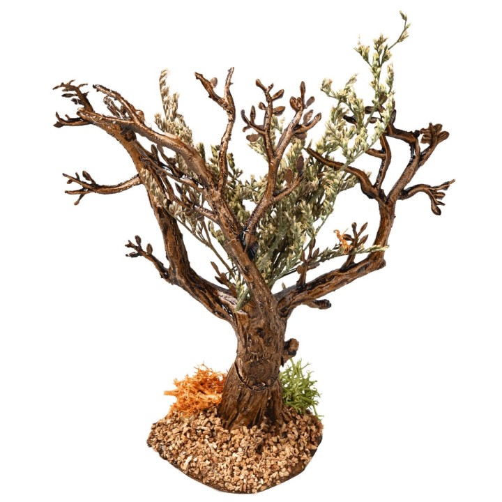 Albero d’ulivo h 13 cm