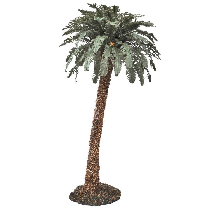 Palma singola deluxe disponibile in varie altezze: