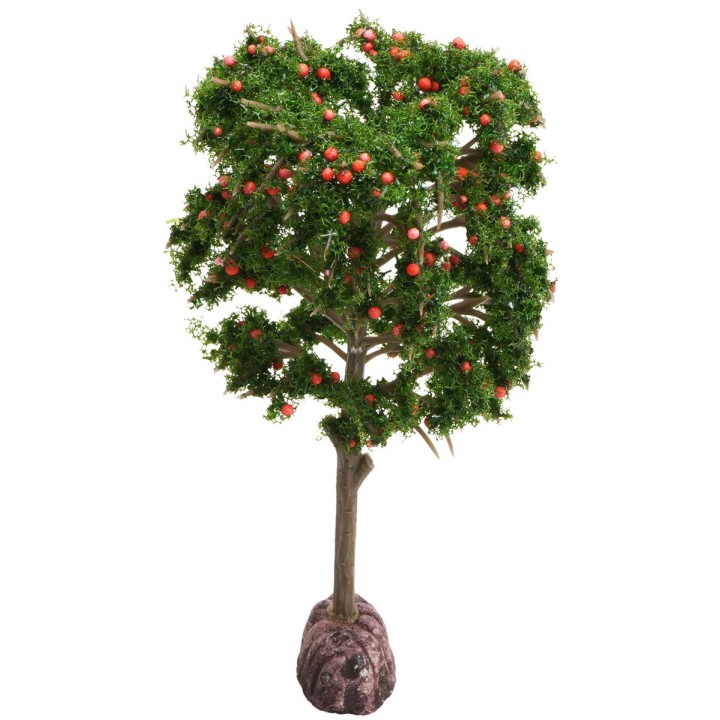 Red apple tree 15 cm