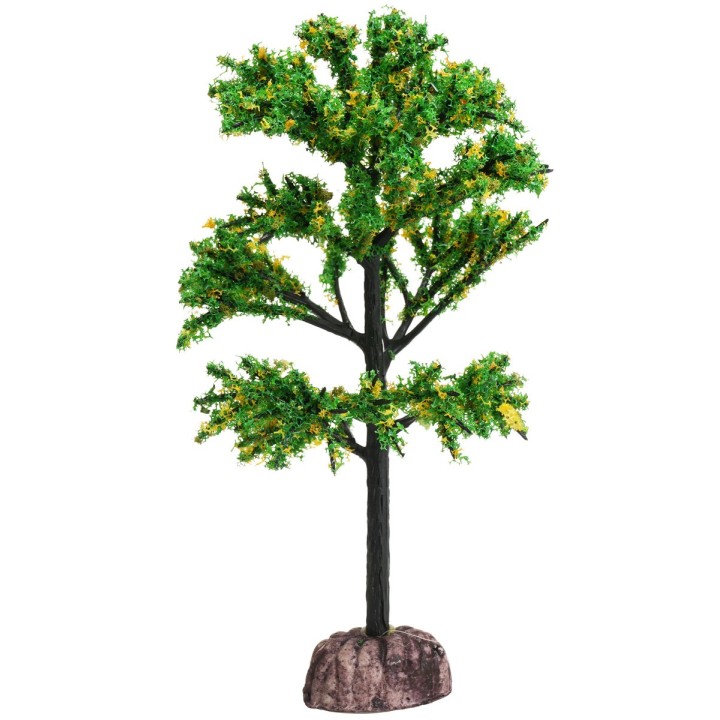 Albero di limoni 15 cm