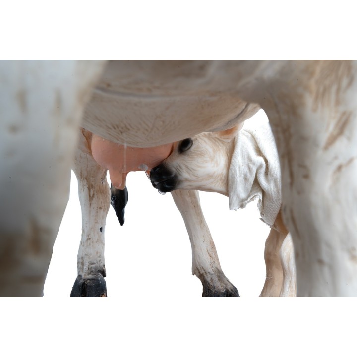 Vaca y ternero con doble movimiento para estatuas de 30 cm