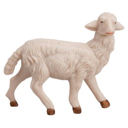 Oveja con cabeza alta para estatuas de 11-12 cm