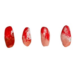 Set 4 pezzi di carne 2x1 cm