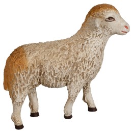 Sheep for statues 20-24 cm - low head