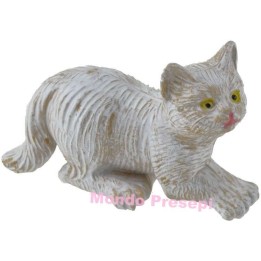White cat pvc