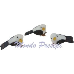 Set 3 piccioni cm 3