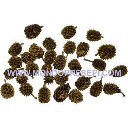 Set pigne assortite per decorazioni natale