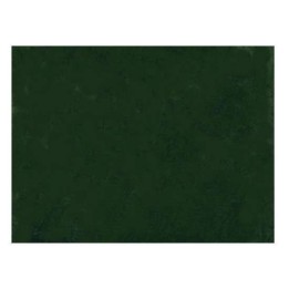 Carta vellutata tipo erba Cm 100x70