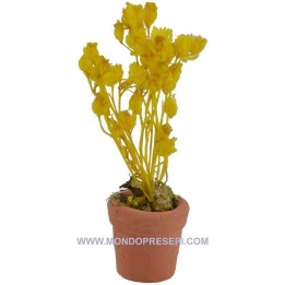 Vaso con fiore giallo