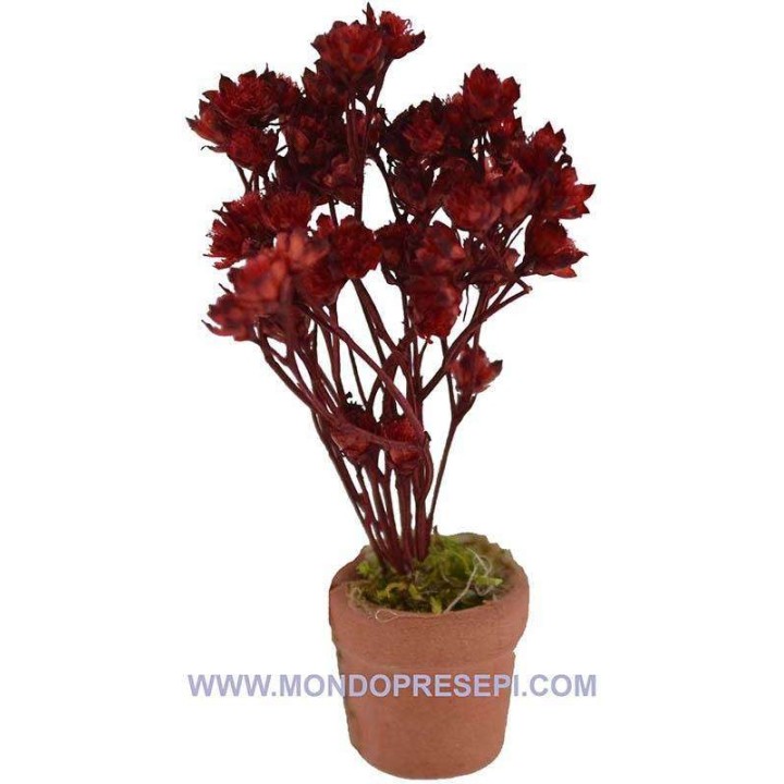 Vaso con fiori rossi