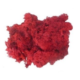 Lichene rosso 500 gr