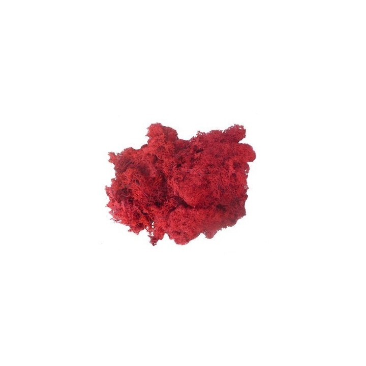Lichene rosso 500 gr