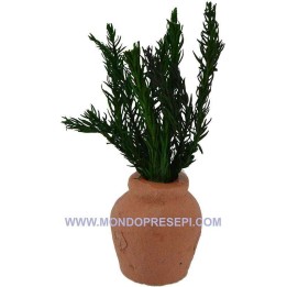 Vaso in terracotta con pianta