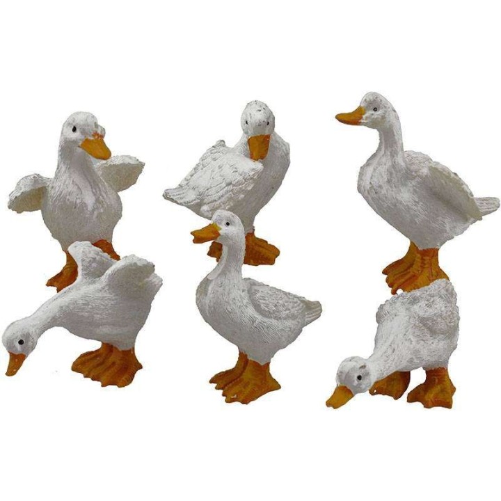 Set 6 Oche 5-6 cm